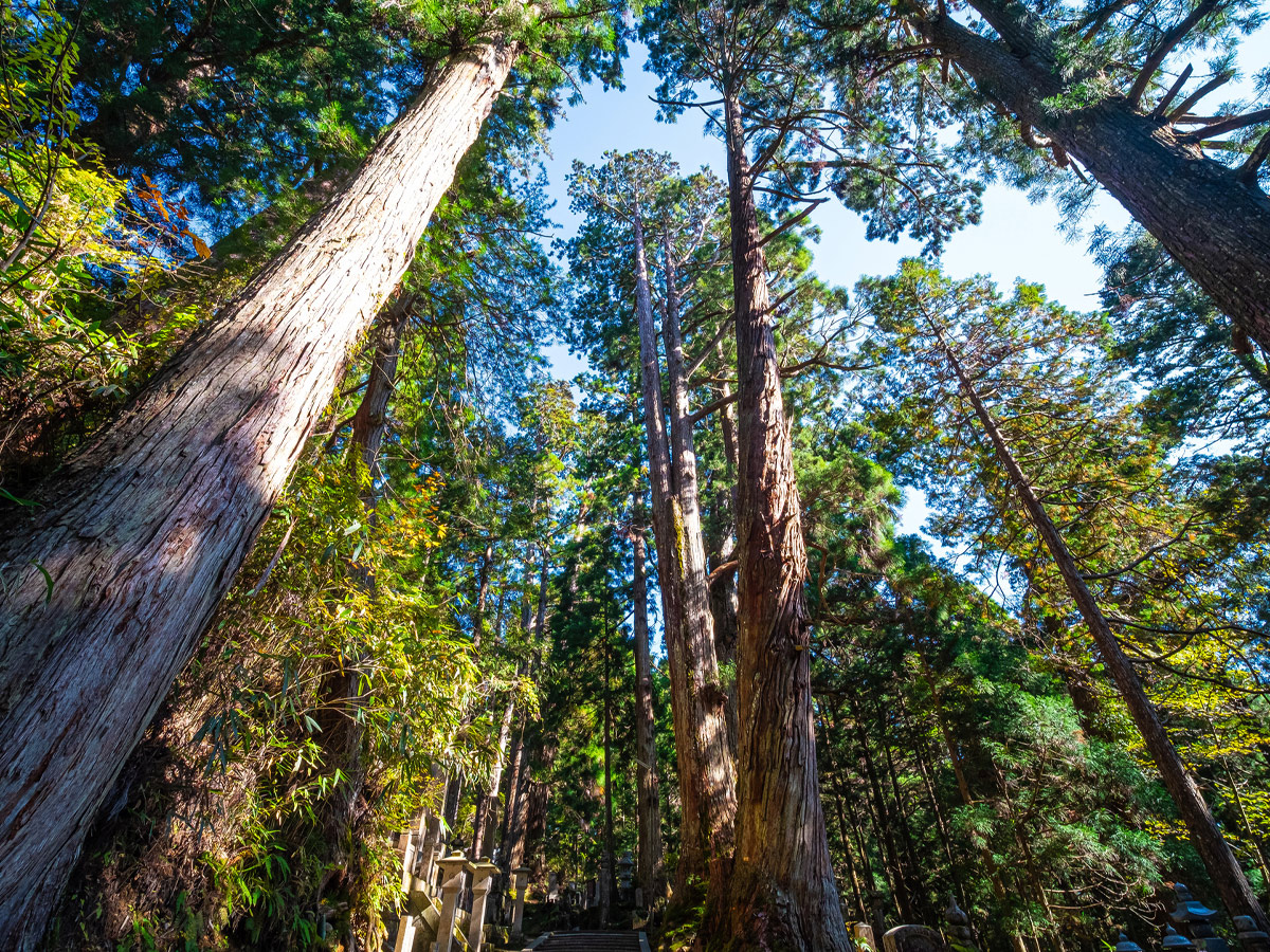 徹底した品質管理